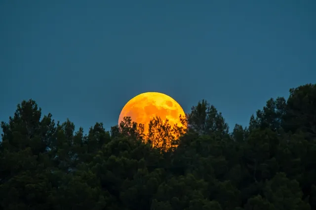Leuchdeko Sterne, Mond&Sterne oder