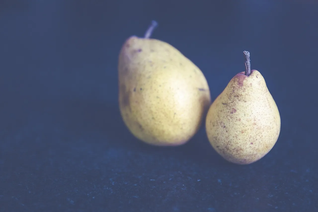 Obstkorb aus Metall (verchromt) 27cm Ø (ohne inhalt!)