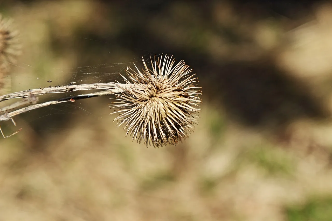 Alleskleber , 90gr, UHU