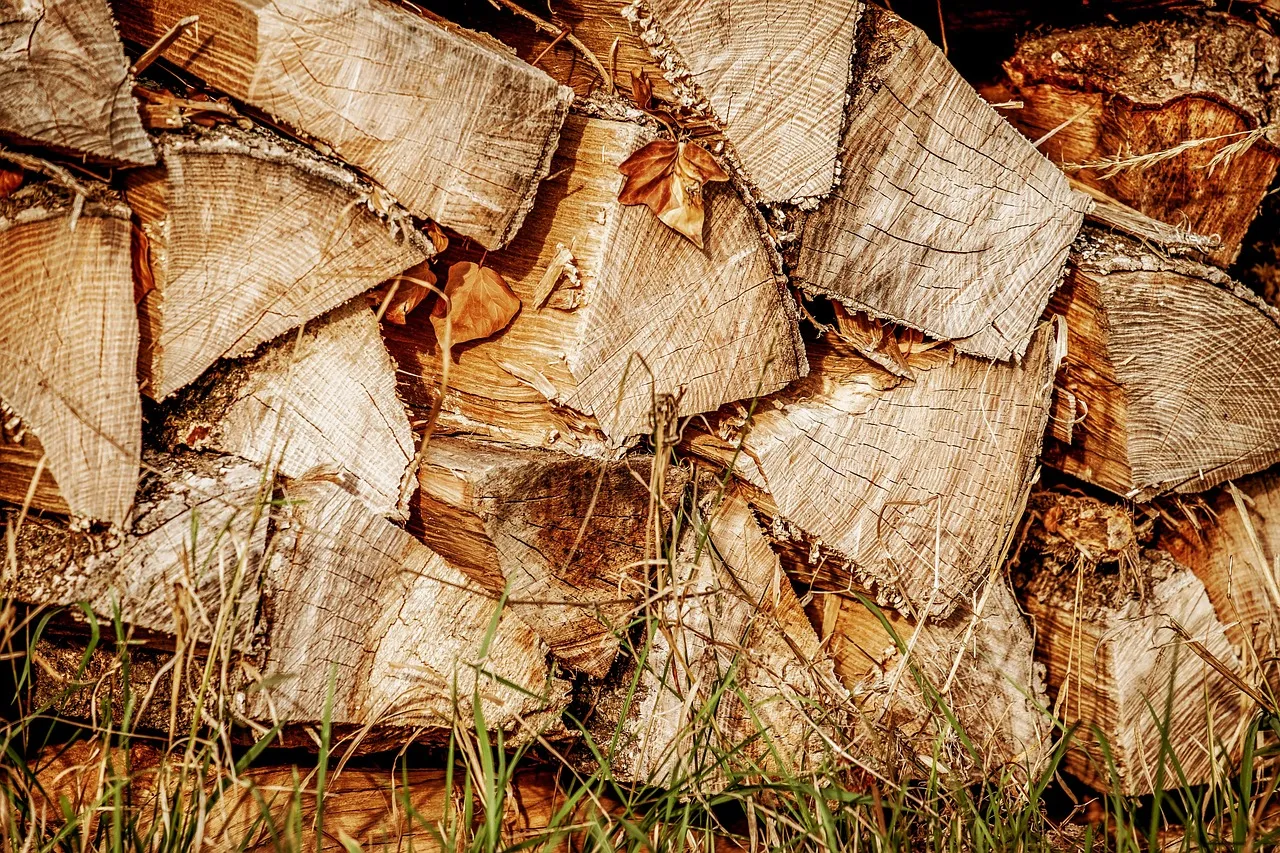 Asiatische Stäbchen 5er Set aus Holz