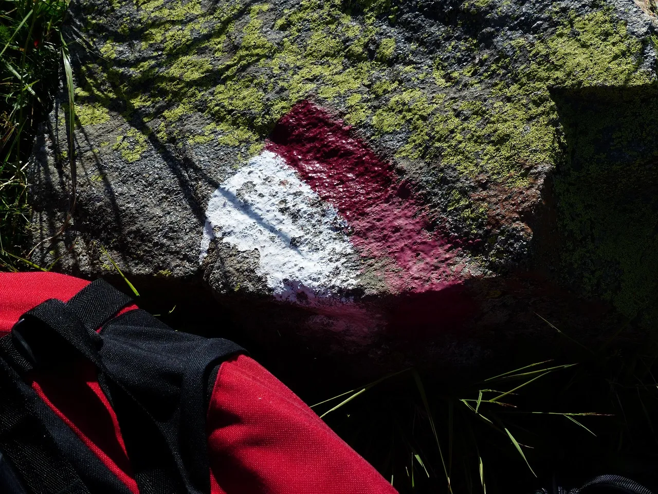 Schulrucksack